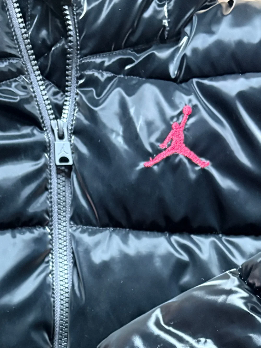 Jordan shiny michael